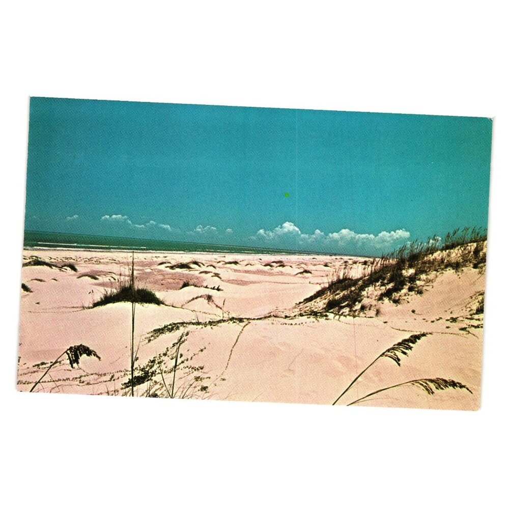 Vintage Postcard Of Texas Gulf Coast Sand Dunes By Frank B. Whaley